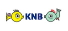 北日本放送 KNB